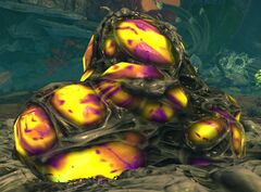 Titan Organ Sac.jpg