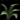 Torn Leaf.png