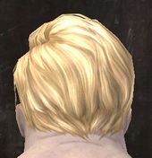 Unique norn male hair back 1.jpg