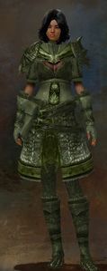 Appearance on medium armor.