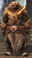Brown Lowland Kodan (orange).jpg