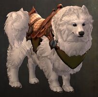Fluffy Samoyed Jackal Skin.jpg