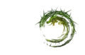 Thumbnail for version as of 20:22, 13 January 2016
