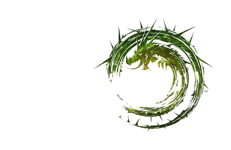 File:GW2-HoT Texture Horizontal-White Trans.png