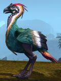 Green Moa.jpg