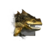 Juvenile River Drake.png