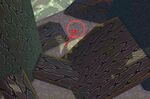 Kingdom of Fungus dig spot 6.jpg
