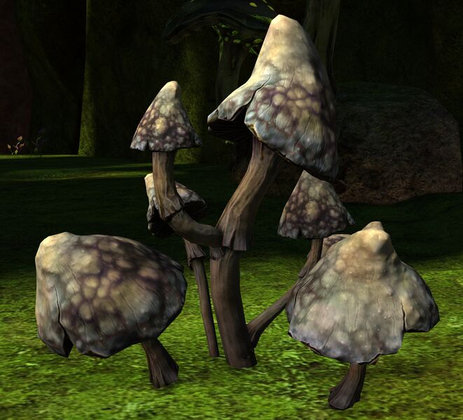 File:Speed Boost Mushroom (cooldown).jpg