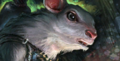 Thumbnail for version as of 20:06, 11 March 2015