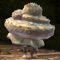 Veteran Mushroom Queen.jpg