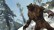 2009 December norn 02.jpg