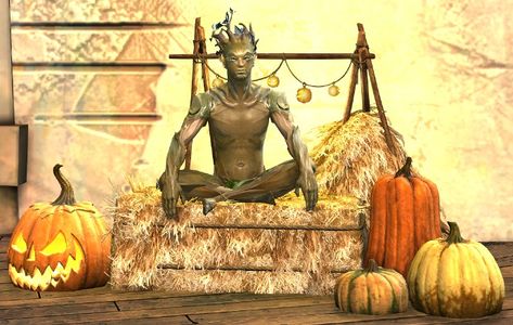 Festive Harvest Chair sylvari male.jpg
