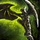 Final Rest.png