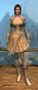 Appearance on light armor.