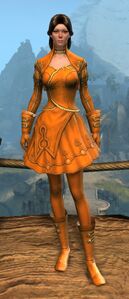 Appearance on light armor.