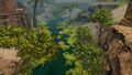 View of life and vegetation.