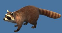 Mini Rockfur Racoon.jpg