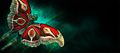 Gem Store banner