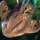Mud Skate.png