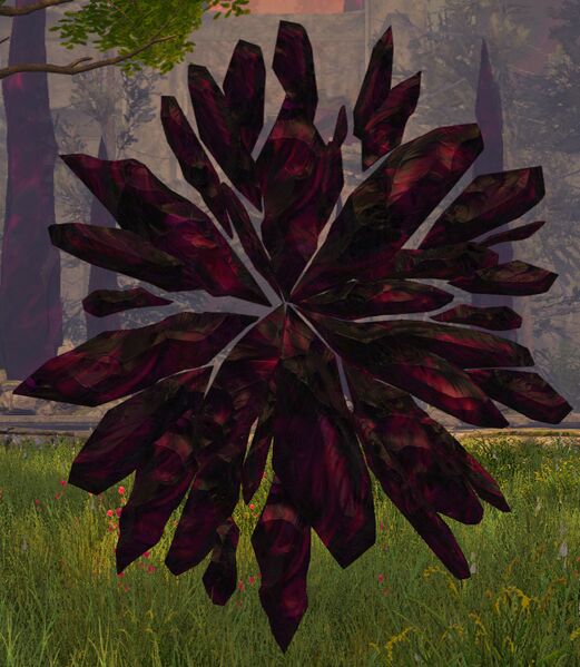 File:Mursaat Mirror.jpg