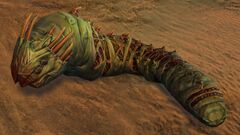 Risen Grub.jpg