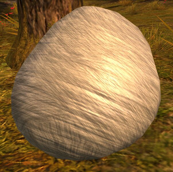 File:Spider Egg Sac (alt).jpg