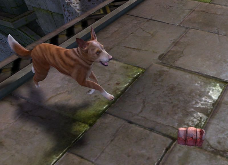 File:Treat (Pet Dog Whistle- Basenji).jpg
