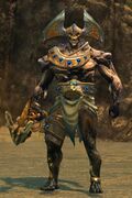 Veteran Awakened Soldier.jpg