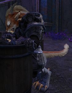 Arcanist Fada.jpg
