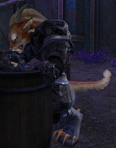 File:Arcanist Fada.jpg