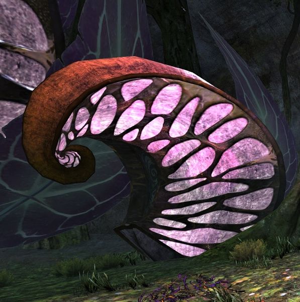 File:Aurora's Glow location.jpg