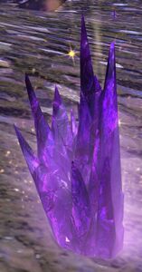 Branded Seed.jpg
