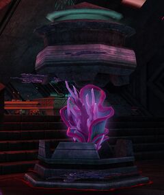 Coral Heart Enclosure.jpg
