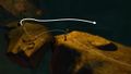Drydock Scratch solution step 8a.jpg