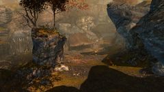 Dunrock Gulch.jpg