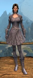 Appearance on light armor.