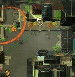 Little-foxes-in-the-big-city-18.jpg