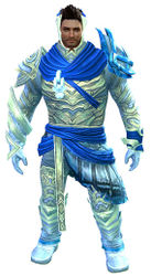 Luminescent armor (light) norn male front.jpg