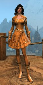 Appearance on light armor.