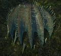 Risen Clam.jpg