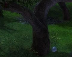 Spider Egg Clutch.jpg