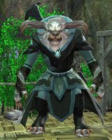 Stranger (charr).jpg