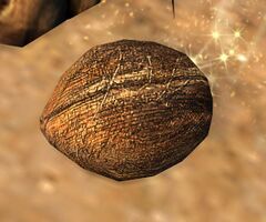 Tasty Coconut.jpg