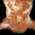 Tattered Pelt.png