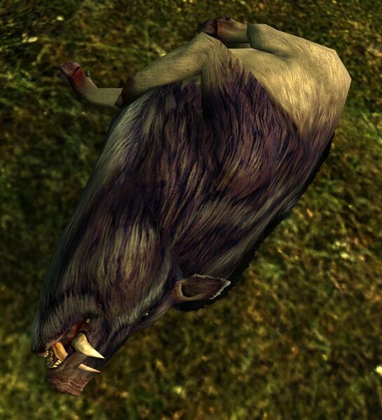 File:Troll Food (boar).jpg