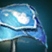 Wind Kite.png
