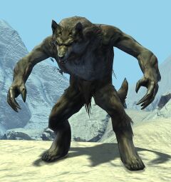 Wolf Form appearance.jpg
