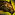 Biography Pet Stalker.png
