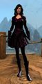 Bloodstone Dark Violet