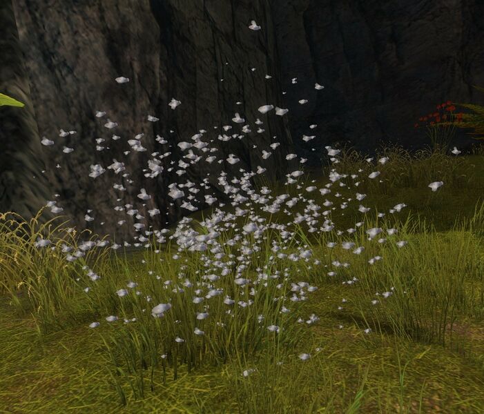 File:Bug Swarm.jpg